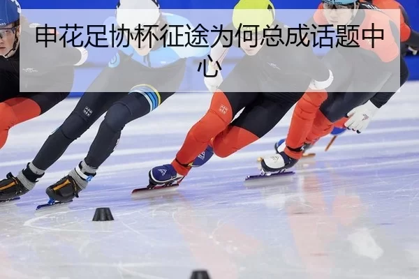 申花足协杯征途为何总成话题中心 | kaiyun